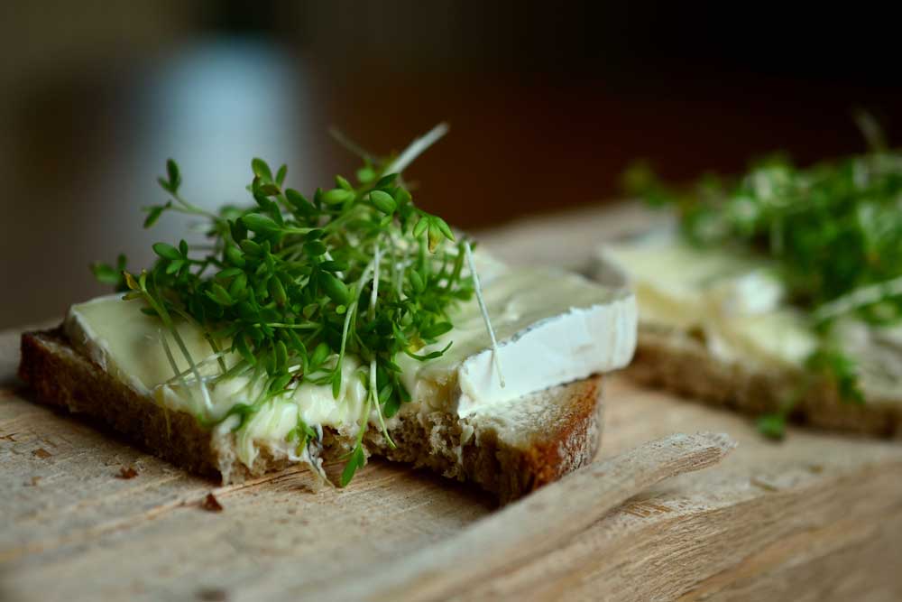 Belegtes Brot mit Weichkaese
